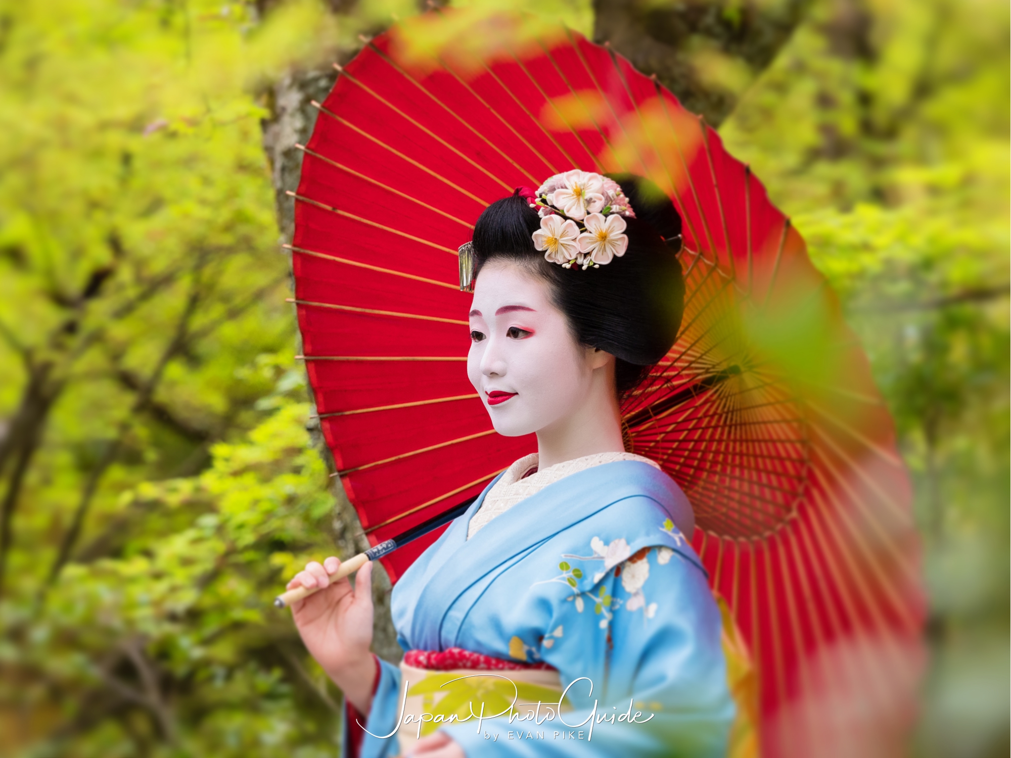 Kyoto streets and temple at soft light